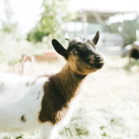 Humus Farm Águas de Moura