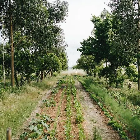 Humus Farm Tatil Evi