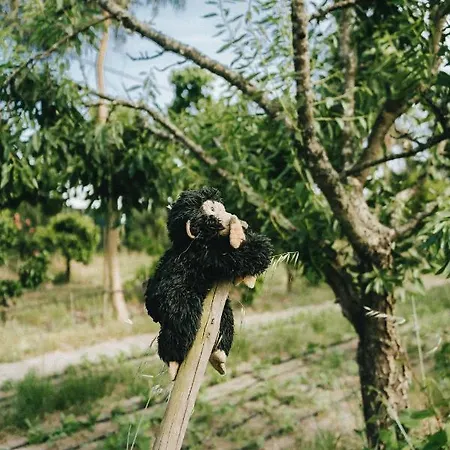 Tatil Evi Humus Farm *