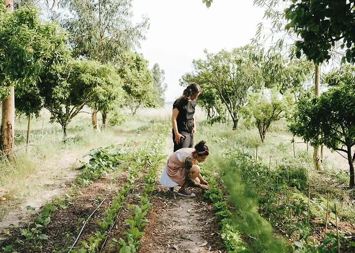Humus Farm