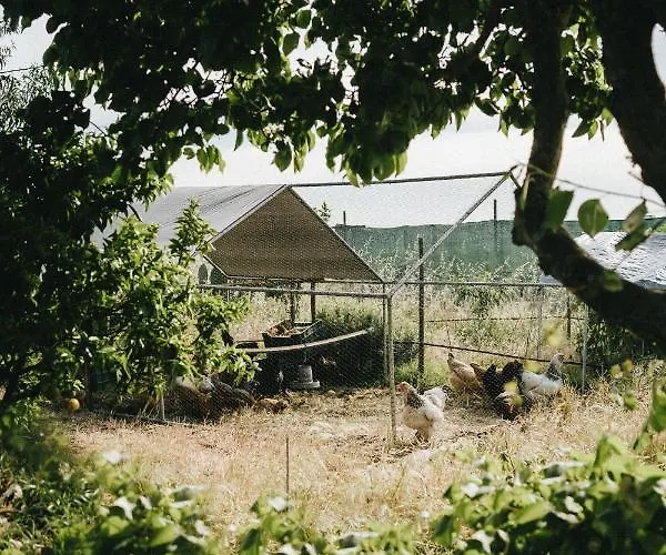 Humus Farm *