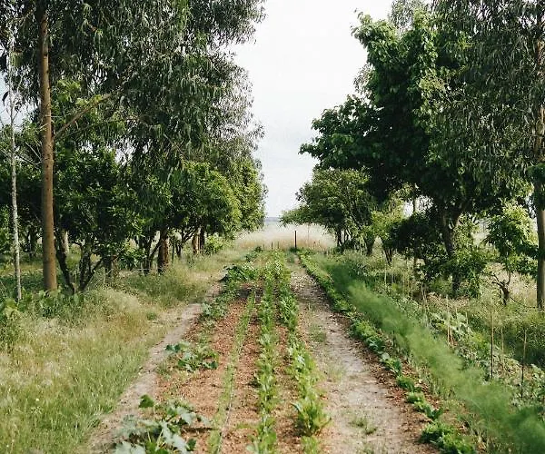 Humus Farm Ferienhaus